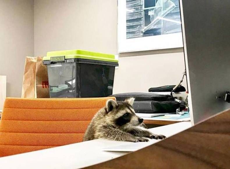 Gewoon een verzameling hilarische foto's #984