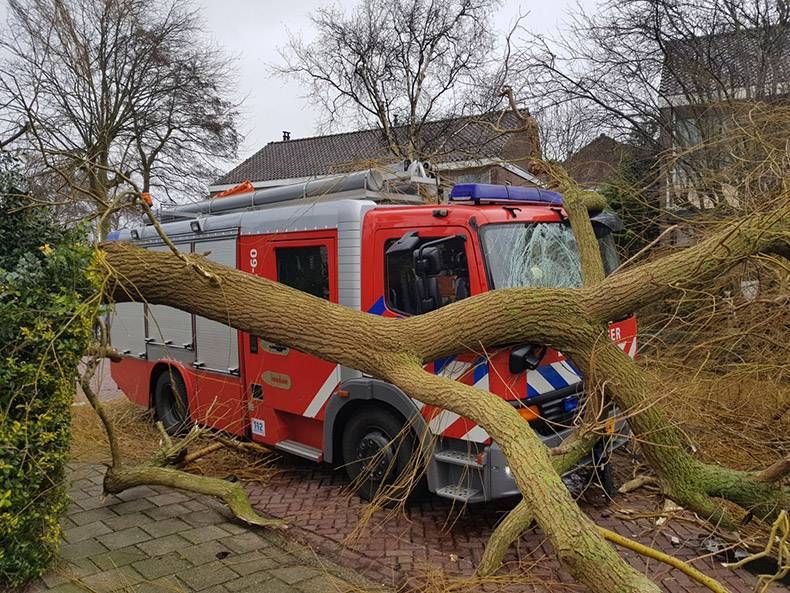 Gewoon een verzameling hilarische foto’s #921