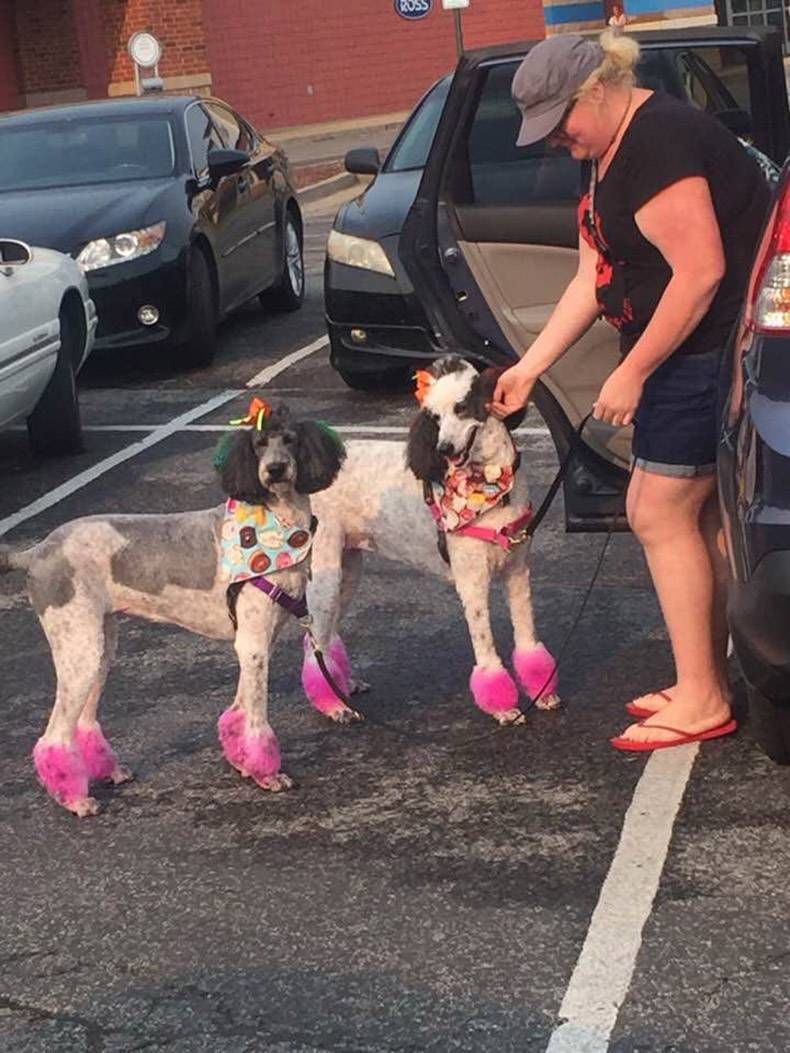 Gewoon een verzameling hilarische foto's #863