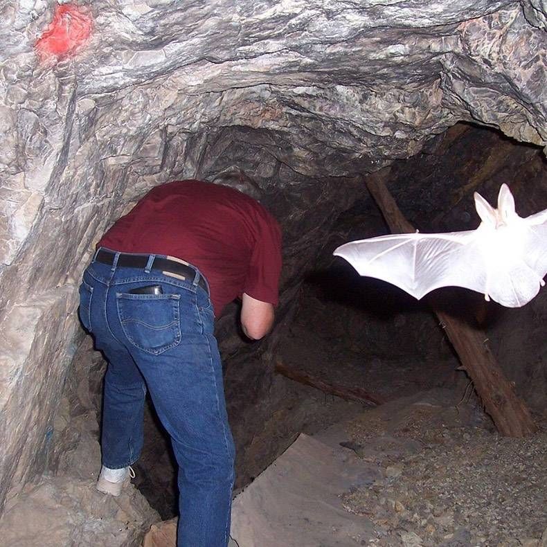 Gewoon een verzameling hilarische foto's #825