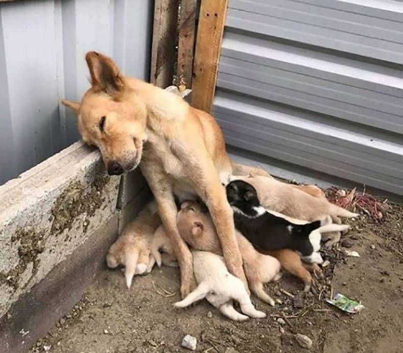 Gewoon een verzameling hilarische foto’s #1370