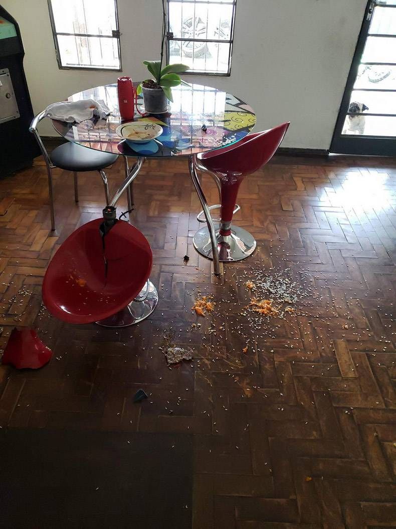 Gewoon een verzameling hilarische foto’s #1336