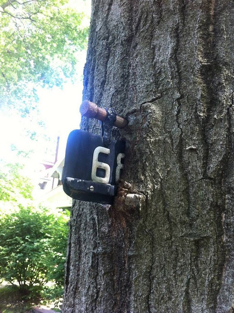 Gewoon een verzameling hilarische foto's #1256