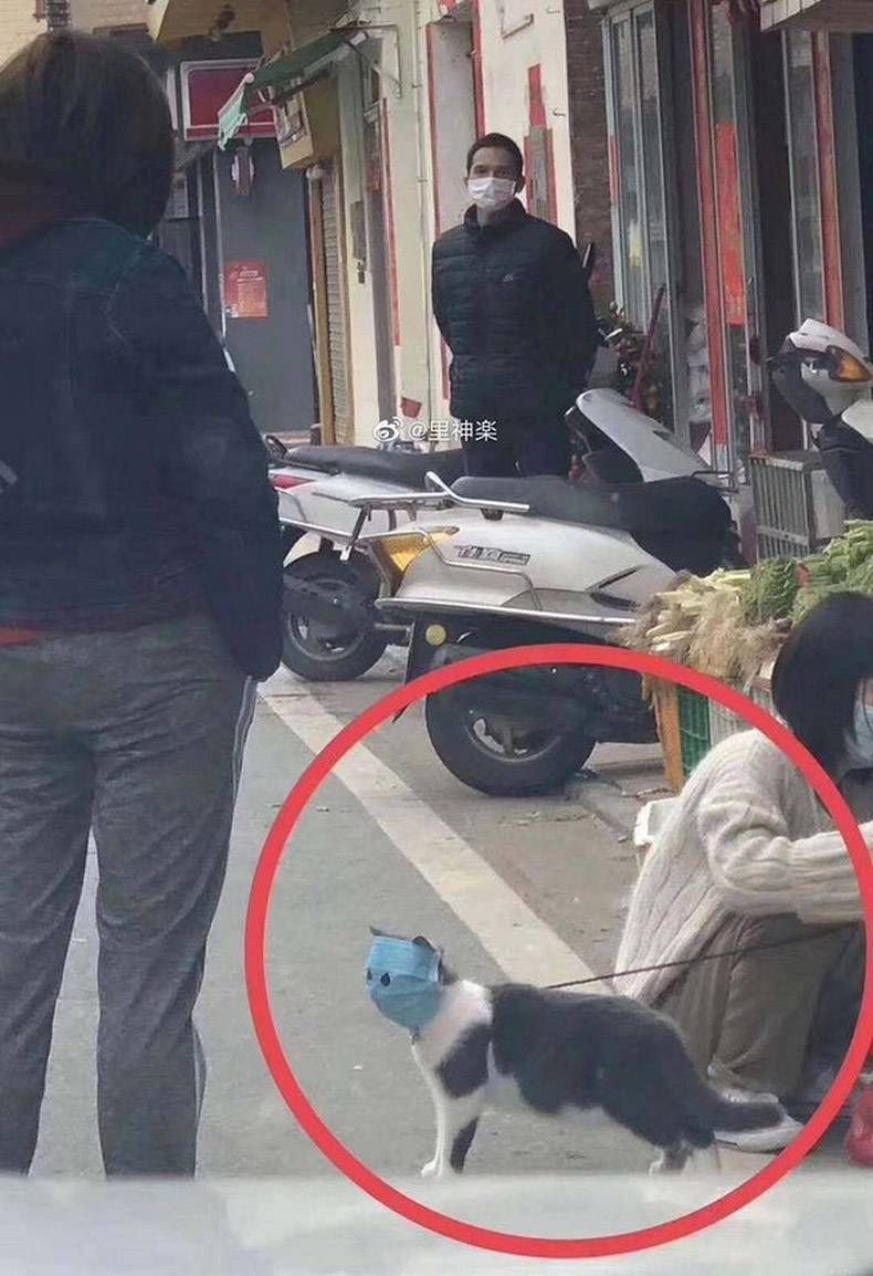 Gewoon een verzameling hilarische foto's #1244