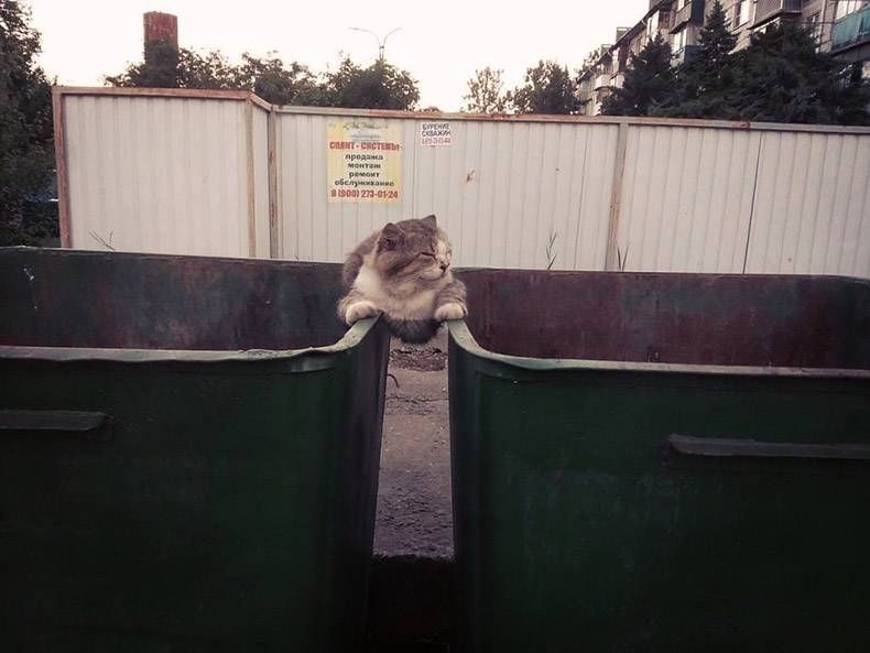 Gewoon een verzameling hilarische foto's #1212