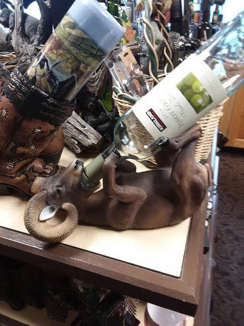 Gewoon een verzameling hilarische foto's #1179