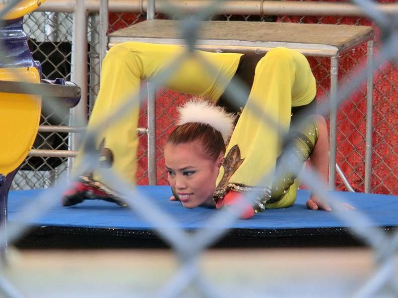 Gewoon een verzameling hilarische foto's #1161