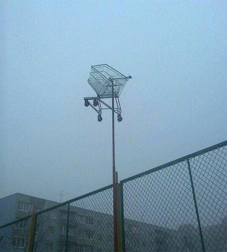 Gewoon een verzameling hilarische foto's #1142