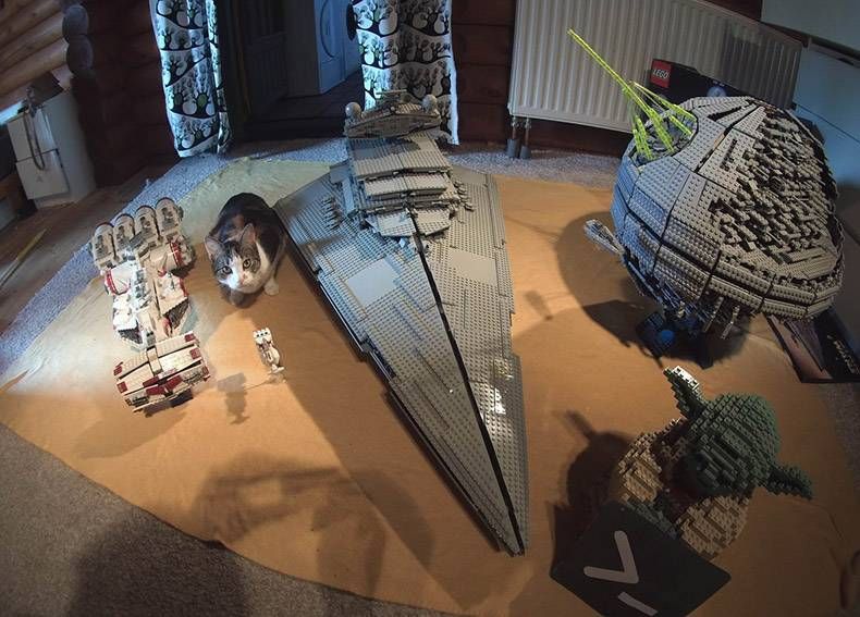 Gewoon een verzameling hilarische foto's #1077