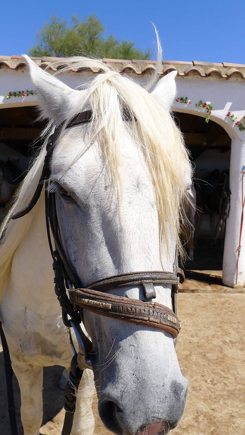 Gewoon een verzameling hilarische foto's #776