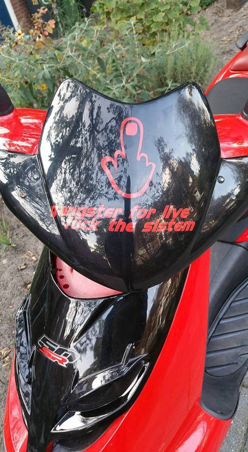 Gewoon een verzameling hilarische foto's #725