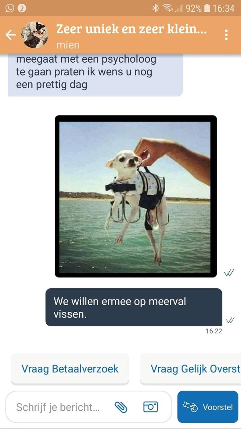 Gewoon een verzameling hilarische foto’s #1284