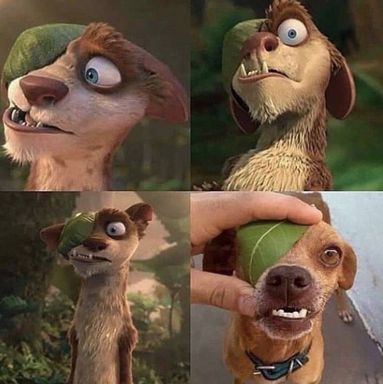 Gewoon een verzameling hilarische foto's #1096