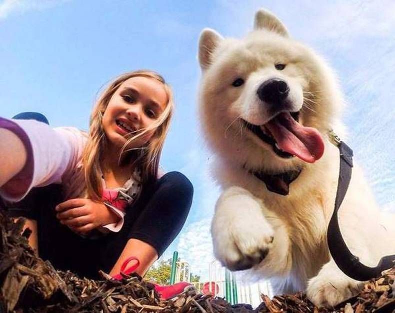 Pix Dump #1000 Special: Gewoon een verzameling foto's van dieren