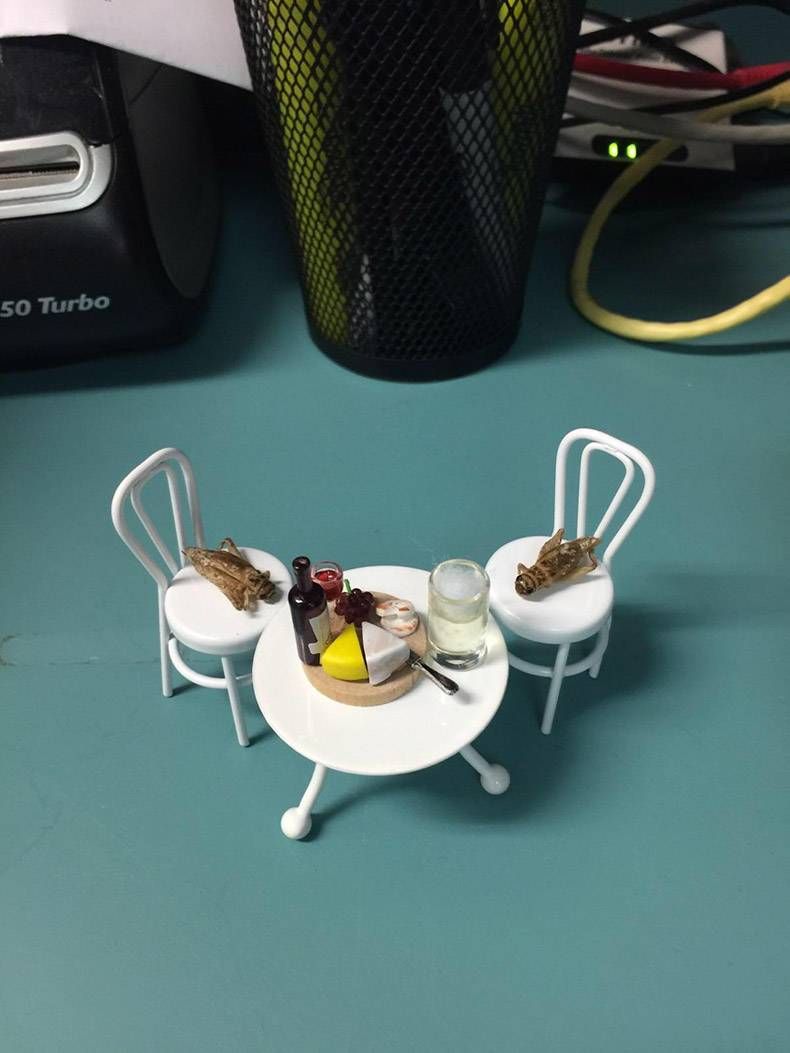 Gewoon een verzameling hilarische foto’s #858