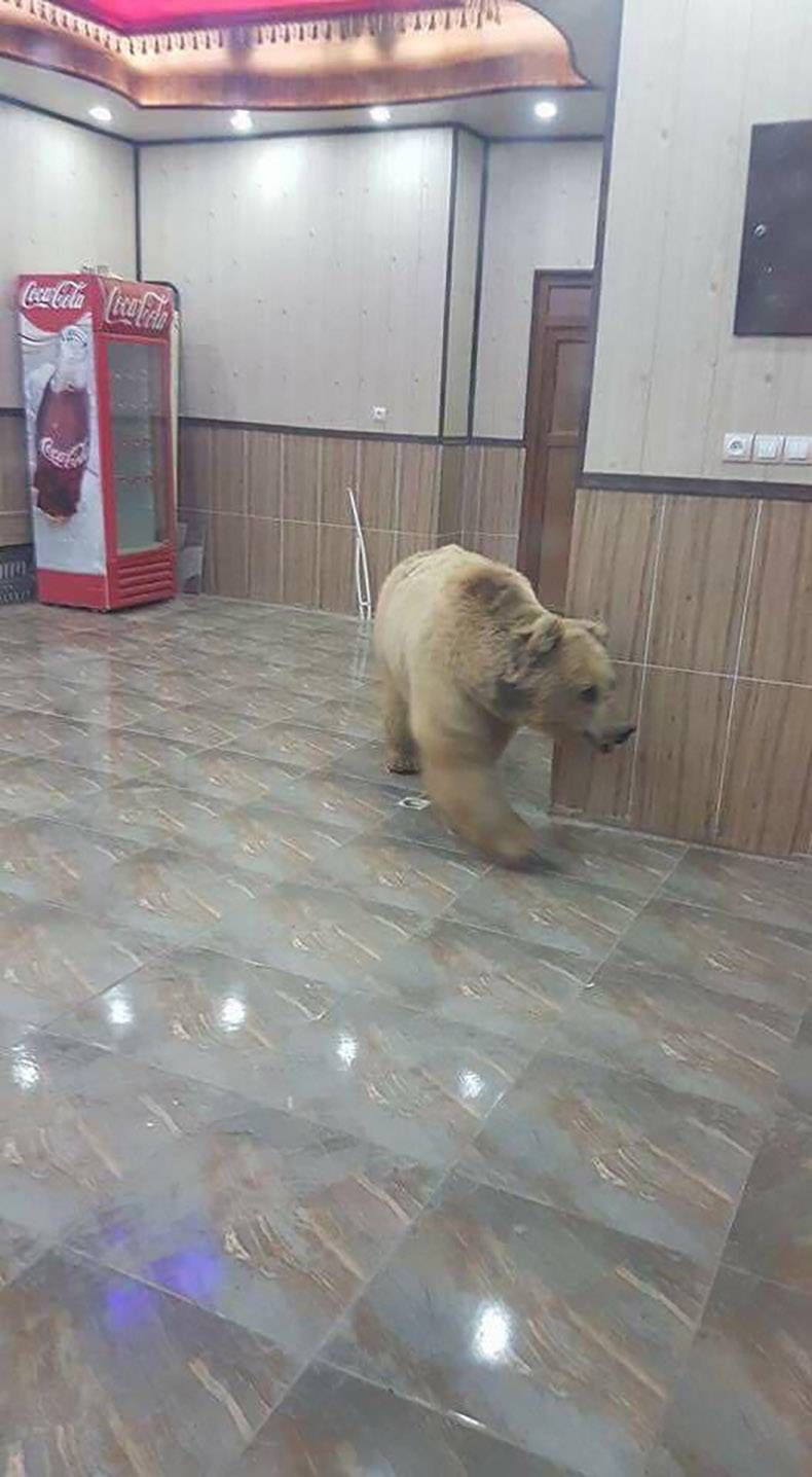 Gewoon een verzameling hilarische foto's #803