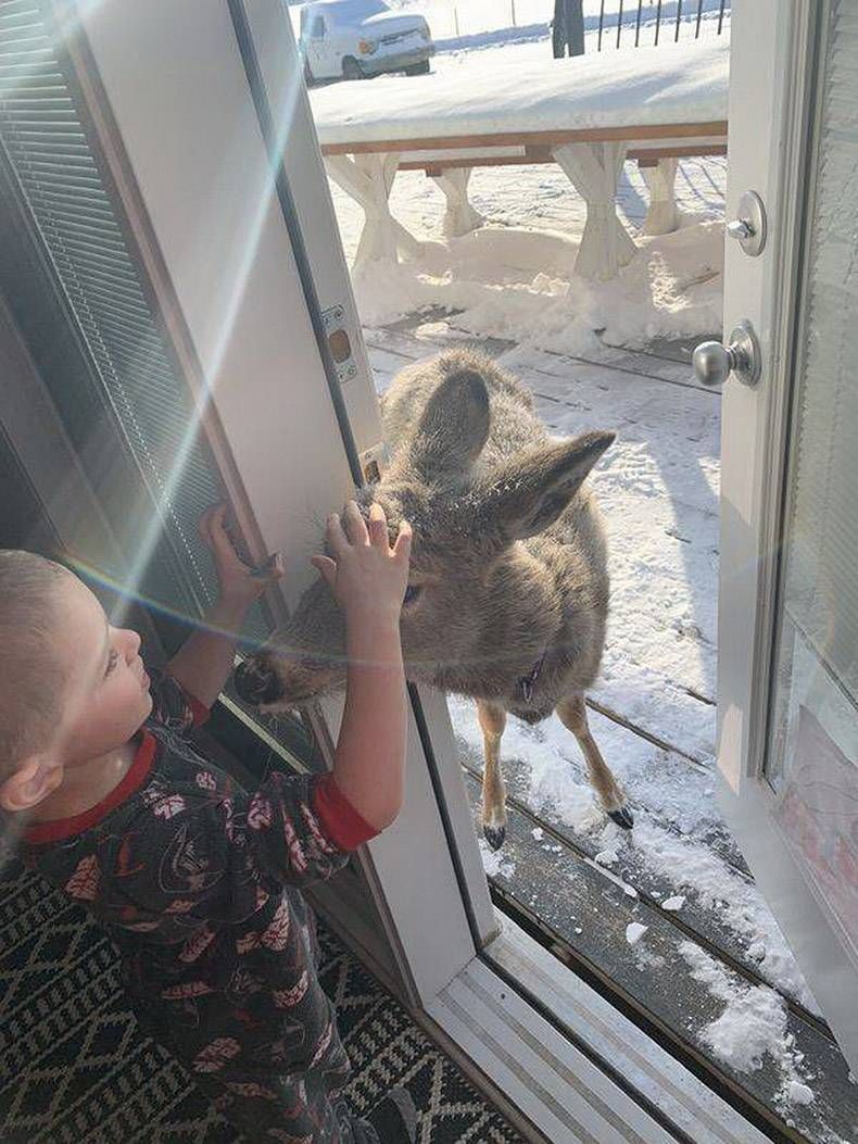 Gewoon een verzameling hilarische foto's #1240