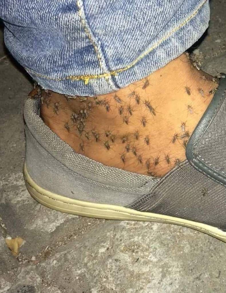 Gewoon een verzameling hilarische foto's #1123
