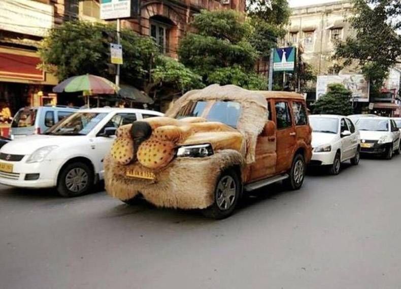 Gewoon een verzameling hilarische foto's #871