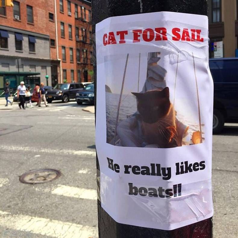 Gewoon een verzameling hilarische foto’s #847