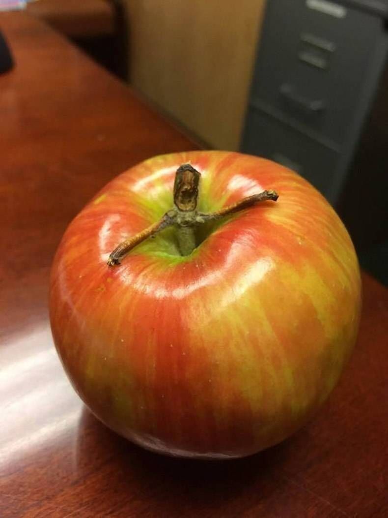 Gewoon een verzameling hilarische foto's #1375
