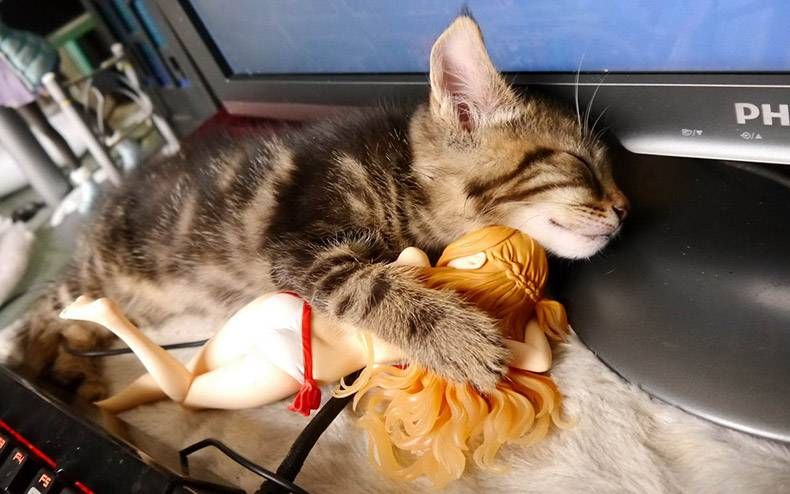 Gewoon een verzameling hilarische foto's #1077