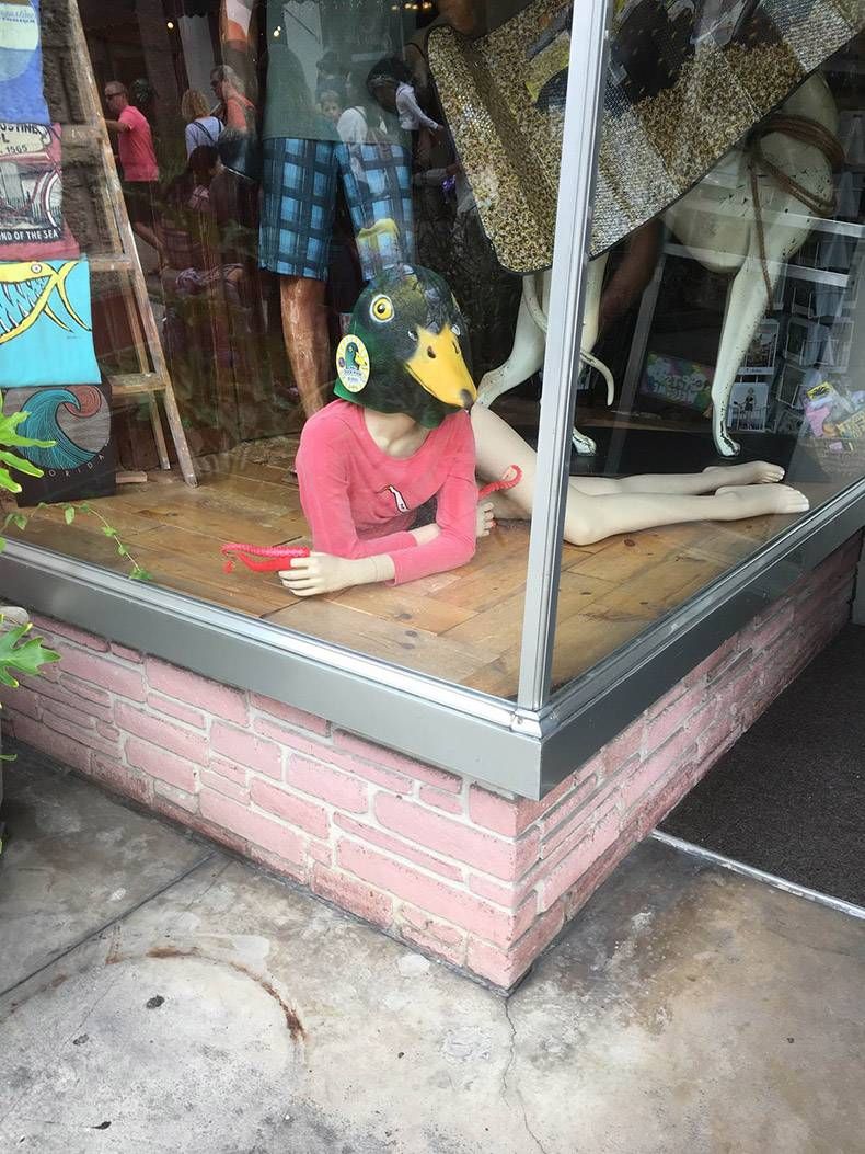 Gewoon een verzameling hilarische foto's #1069