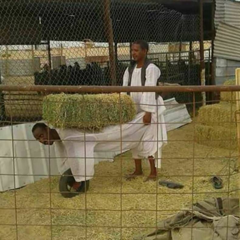 Gewoon een verzameling hilarische foto's #1037