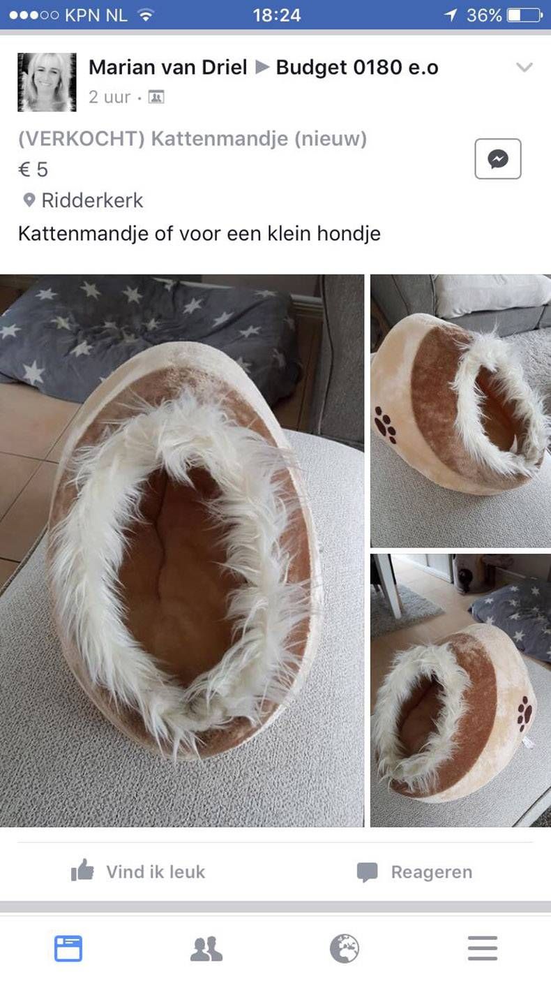 Gewoon een verzameling hilarische foto's #833