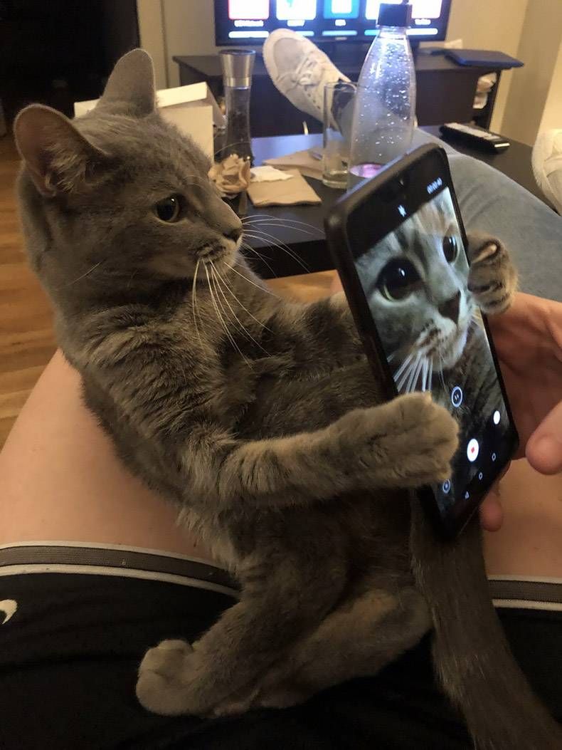 Gewoon een verzameling hilarische foto's #1212