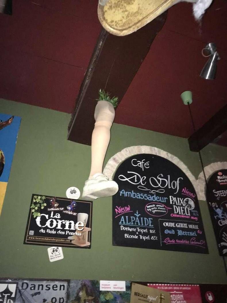 Gewoon een verzameling hilarische foto's #895