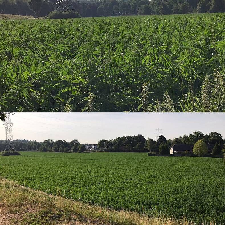 Gewoon een verzameling hilarische foto's #828