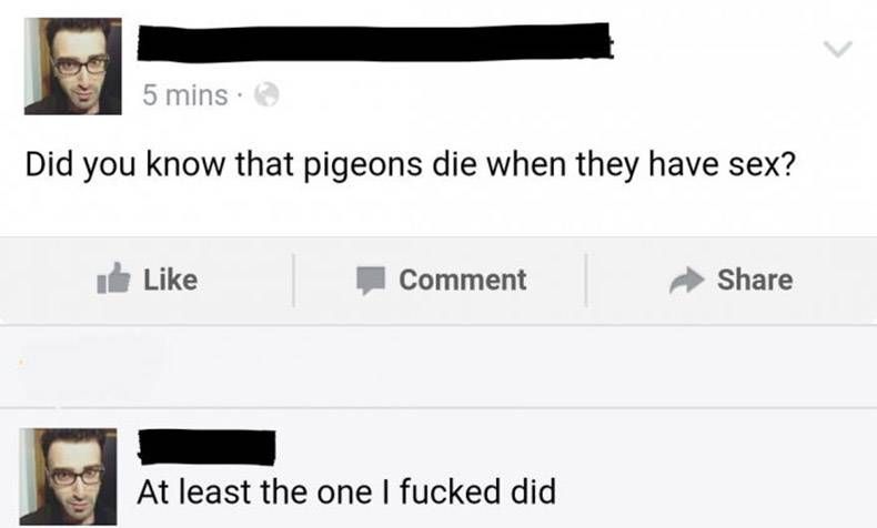 Gewoon een verzameling hilarische foto's #759