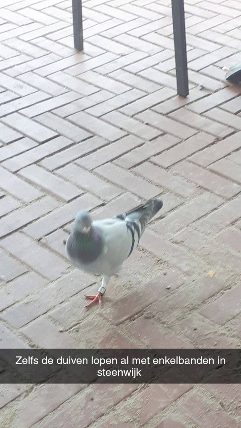 Gewoon een verzameling hilarische foto’s #1326