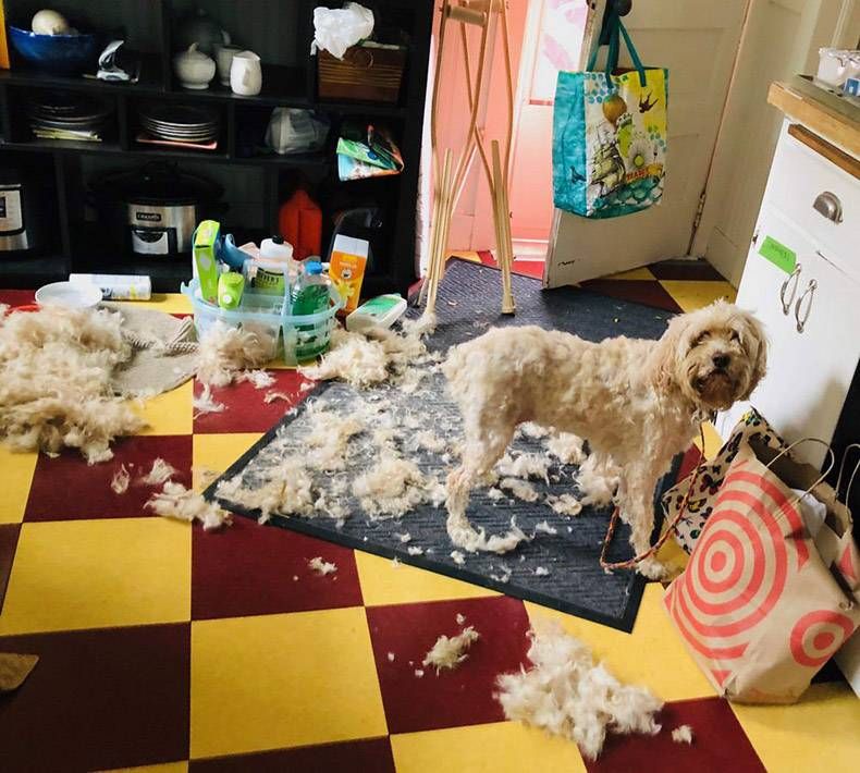 Gewoon een verzameling hilarische foto's #1252