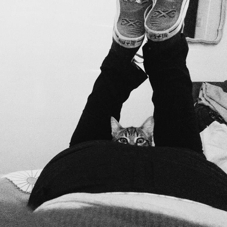 Gewoon een verzameling hilarische foto's #1205