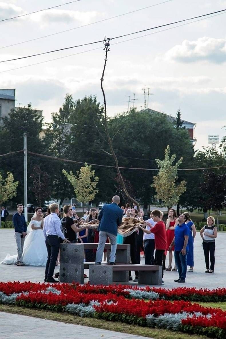 Gewoon een verzameling hilarische foto's #1024