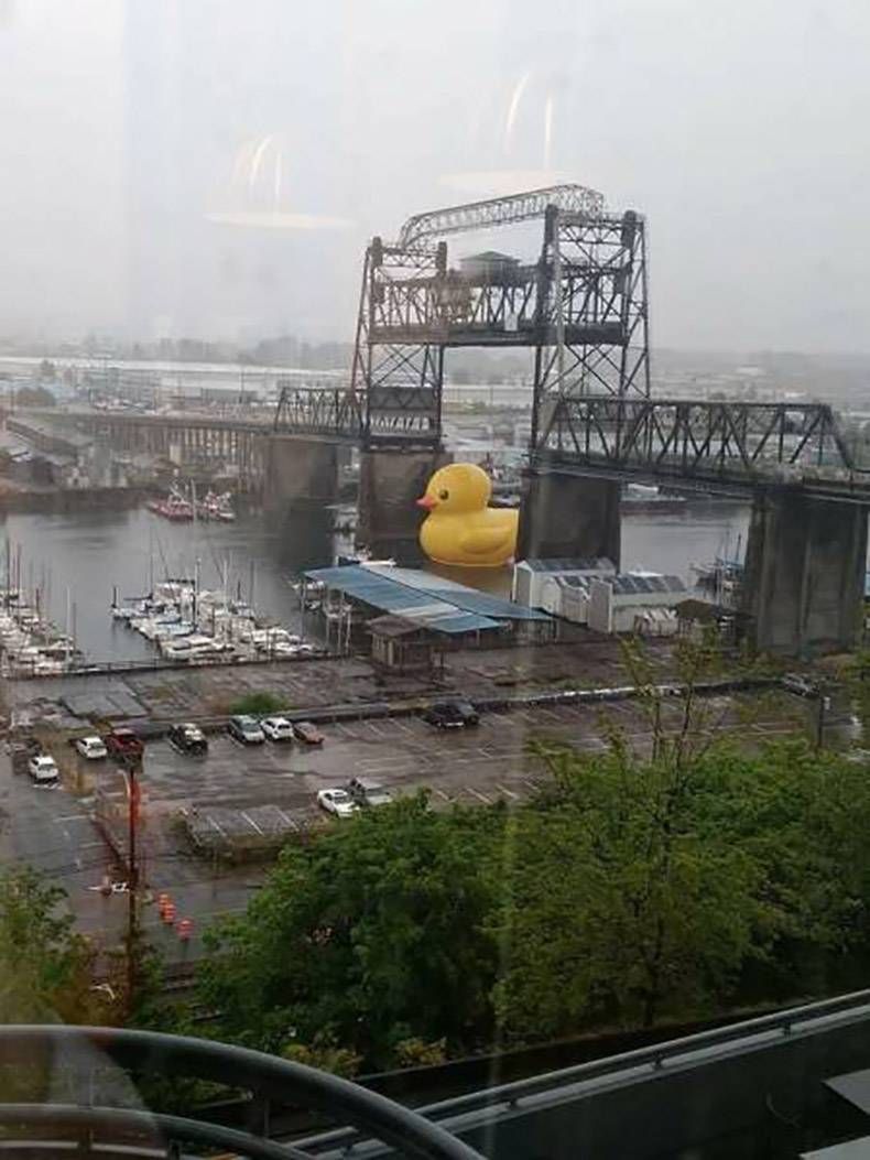 Gewoon een verzameling hilarische foto's #829