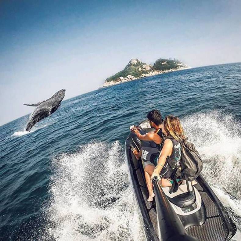 Gewoon een verzameling hilarische foto's #778