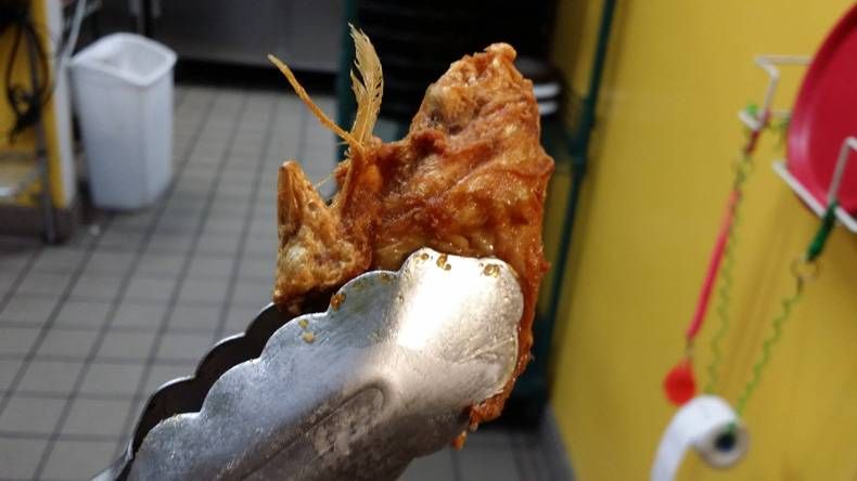 Gewoon een verzameling hilarische foto's #750