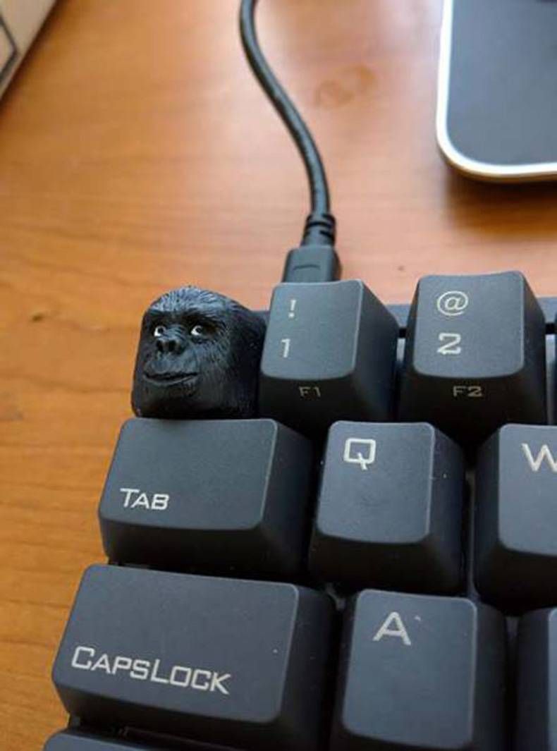 Gewoon een verzameling hilarische foto's #728