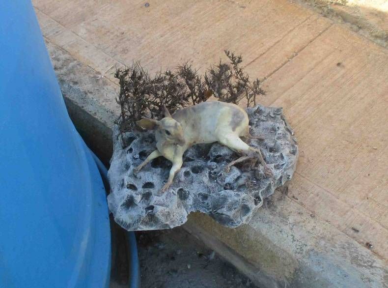 Gewoon een verzameling hilarische foto's #725