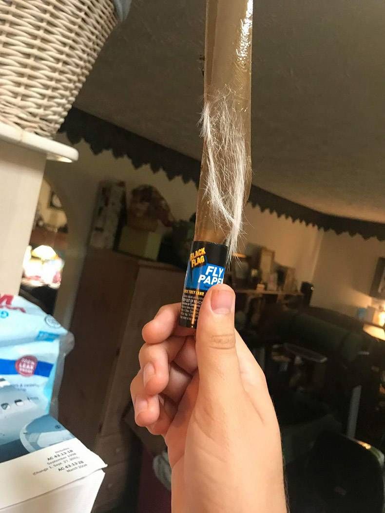 Gewoon een verzameling hilarische foto’s #1336