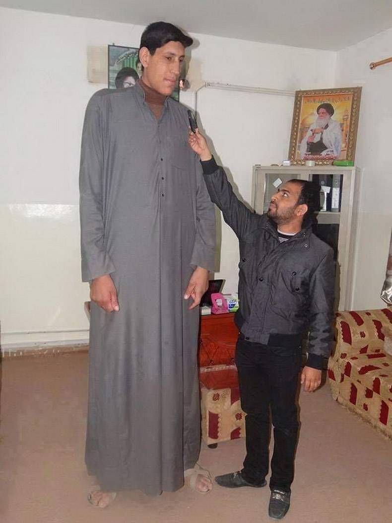 Gewoon een verzameling hilarische foto's #1244