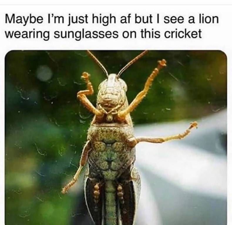Gewoon een verzameling hilarische foto's #1216
