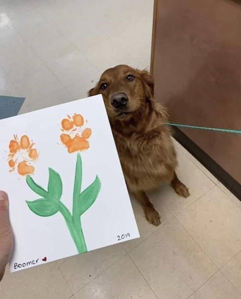 Gewoon een verzameling hilarische foto's #1127