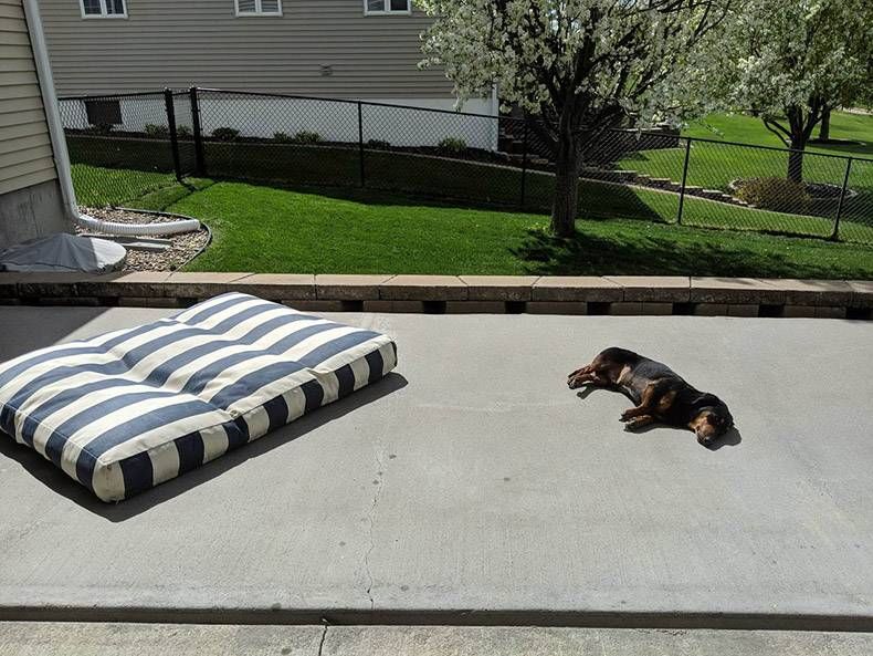 Gewoon een verzameling hilarische foto's #1120