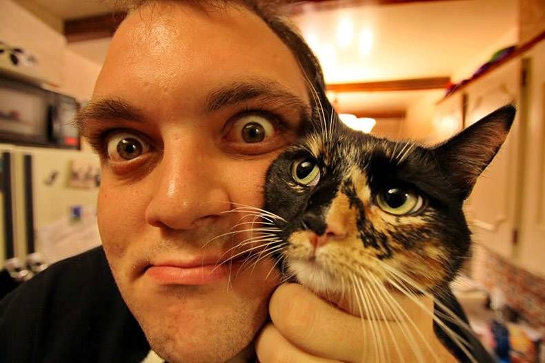 Gewoon een verzameling hilarische foto's #1096