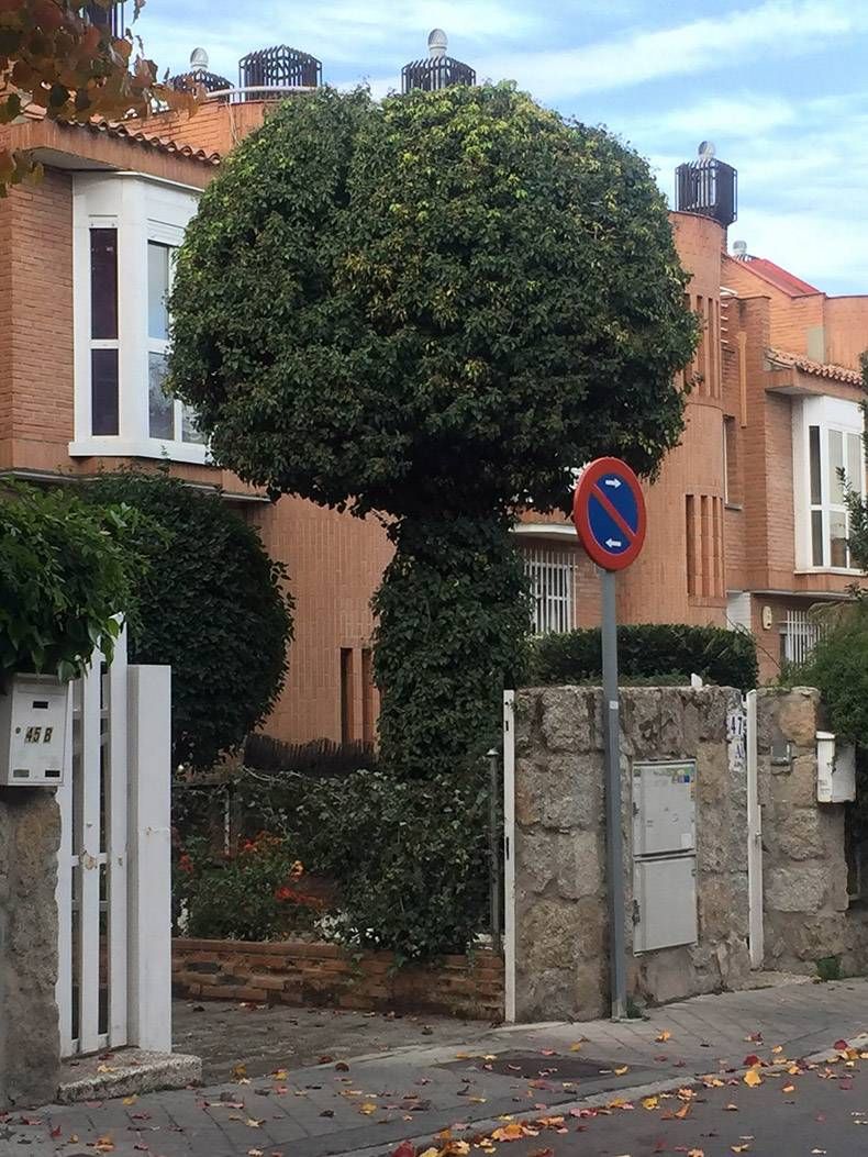 Gewoon een verzameling hilarische foto's #1088