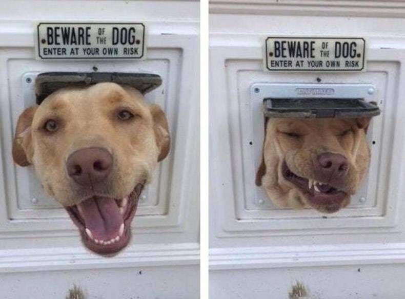 Gewoon een verzameling hilarische foto’s #978